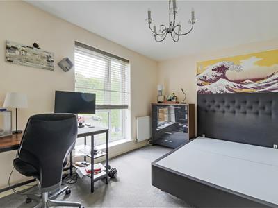 Picture 11